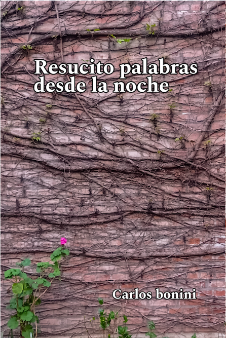 Libro autora 23