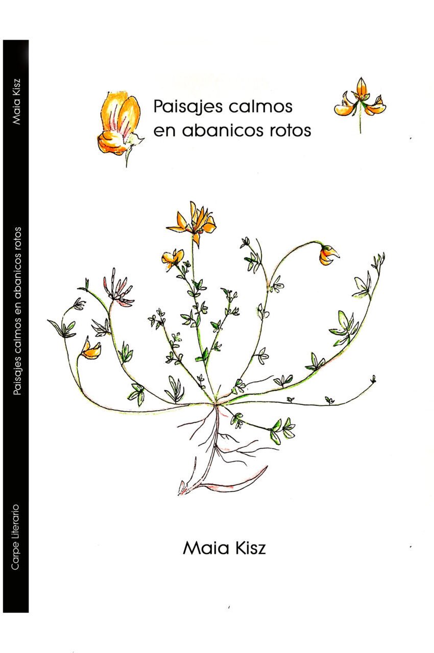 Libro autora 17